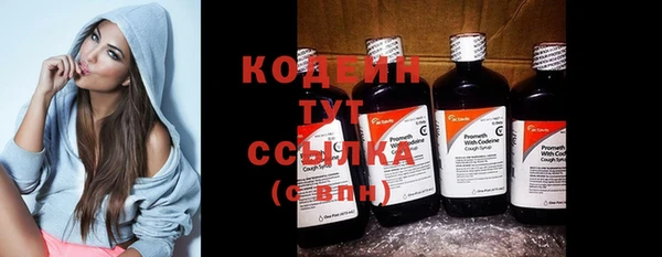молекула духа Лабытнанги