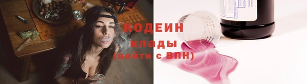 молекула духа Лабытнанги