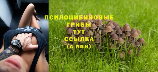 спайс Лагань