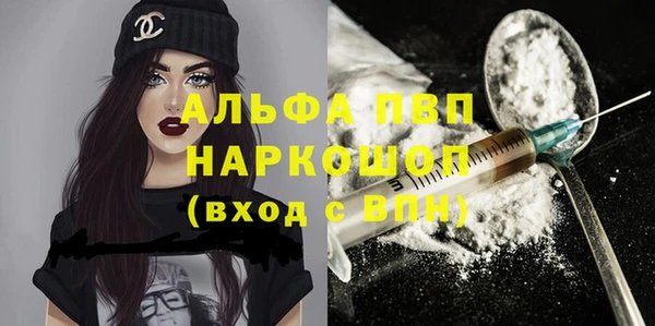 молекула духа Лабытнанги