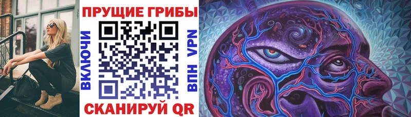 Псилоцибиновые грибы Cubensis  Купить  Рудня 